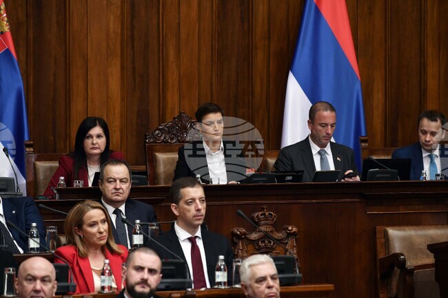 Brussels Report Serves as Roadmap for Serbia, Parliament Speaker Says