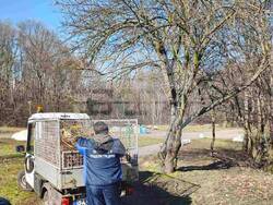 Снимка: Столична община