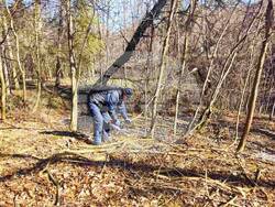 Снимка: Столична община