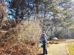 Снимка: Столична община