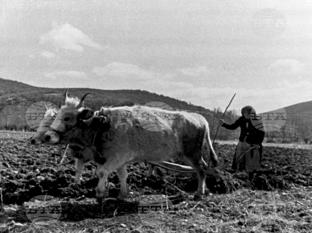 April 15, 1932: Bulgaria Adopts Farmer Protection Act that Offered Relief Amid Economic Hardship