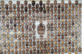 Благоевград - Съдебна палата - изложба - Ден на Българската конституция