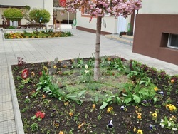 Снимка: Община Шумен