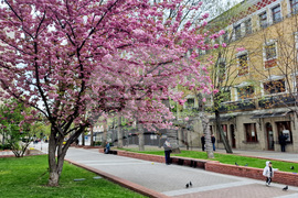 Хасково - Великденска украса