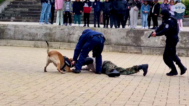 Ученици от Черноочене наблюдаваха демонстрация на залавяне на престъпник и действия с полицейско куче