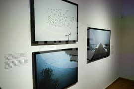 "На тяхно място" - Владимир Карамазов - изложба