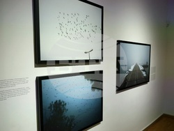 "На тяхно място" - Владимир Карамазов - изложба