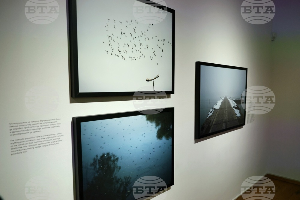 "На тяхно място" - Владимир Карамазов - изложба