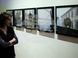 "На тяхно място" - Владимир Карамазов - изложба