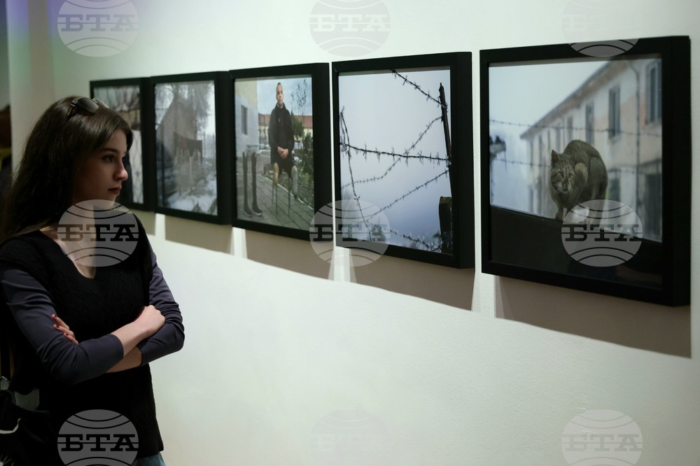 "На тяхно място" - Владимир Карамазов - изложба