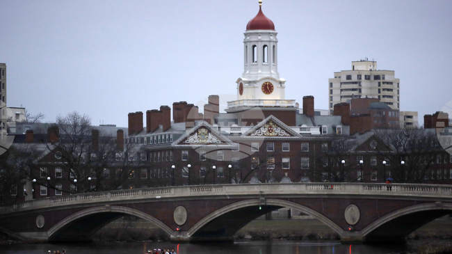 АПА: Харвард отстрани от длъжност австрийския биоматематик Мартин Новак заради "нова информация" за контактите му с Джефри Епстийн