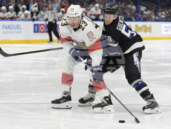 Panthers Lightning Hockey