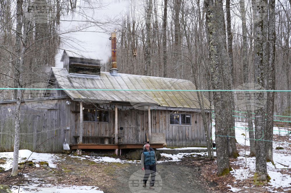 Trump Tariffs Maple Syrup