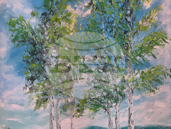 Монтана - Жарко Шкрибайло - изложба