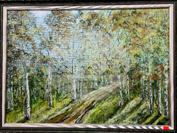 Монтана - Жарко Шкрибайло - изложба