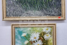 Монтана - Жарко Шкрибайло - изложба