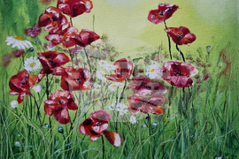 Монтана - Жарко Шкрибайло - изложба