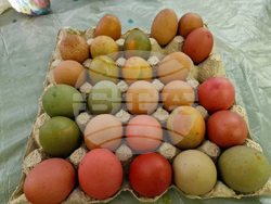 Самоков - Младежки дом - боядисване на яйца