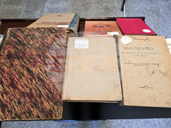 Видин - ученици - приемане на Търновската конституция - пресъздаване