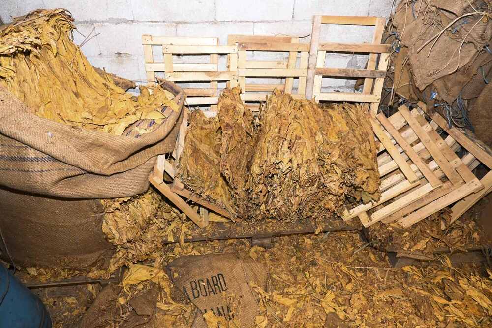 Тютюн без акцизен бандерол за над 250 000 лева хвана полицията във Варна