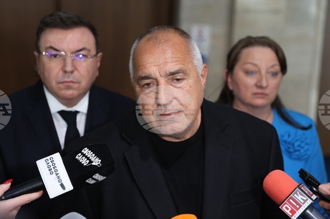 GERB Leader Borissov: President Says Something Insignificant Every Day