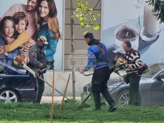 В Кърджали ще се извърши първото за годината пръскане срещу кърлежи и комари