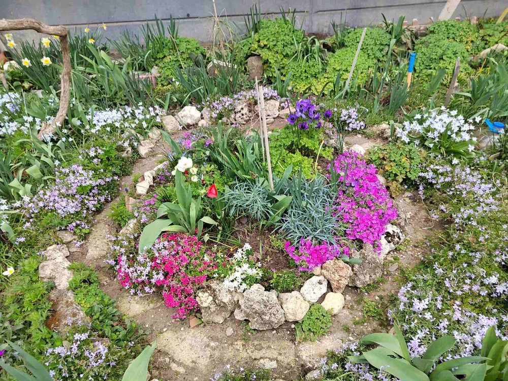 Община Варна: До 25 май Община Варна приема предложения за конкурса за най-красива градинка