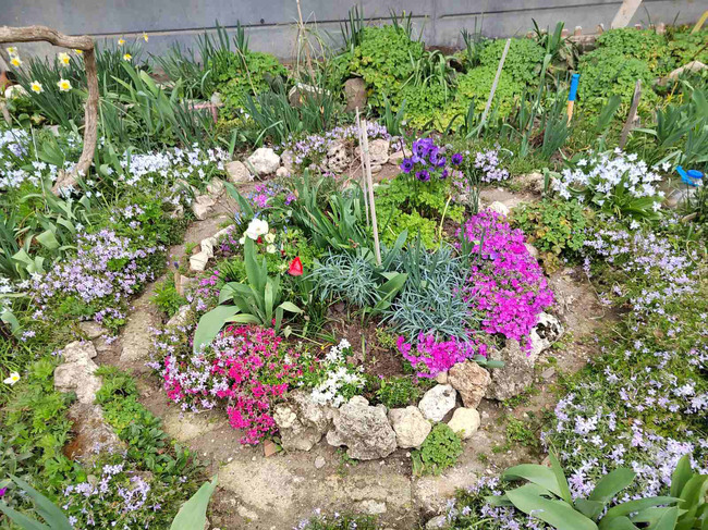 Община Варна: До 25 май Община Варна приема предложения за конкурса за най-красива градинка