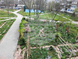 Снимка: Община Варна