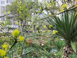 Снимка: Община Варна