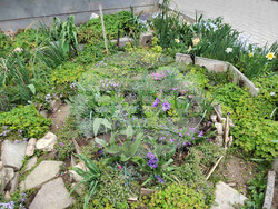 Снимка: Община Варна