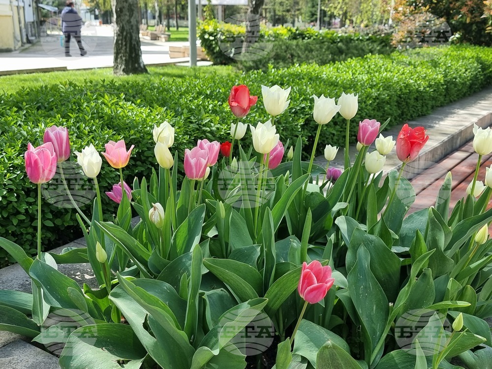 Ямбол - великденска украса