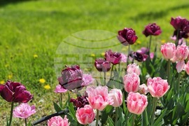 Ямбол - великденска украса