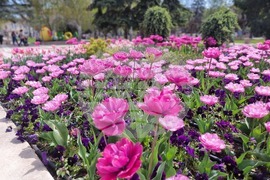 Ямбол - великденска украса