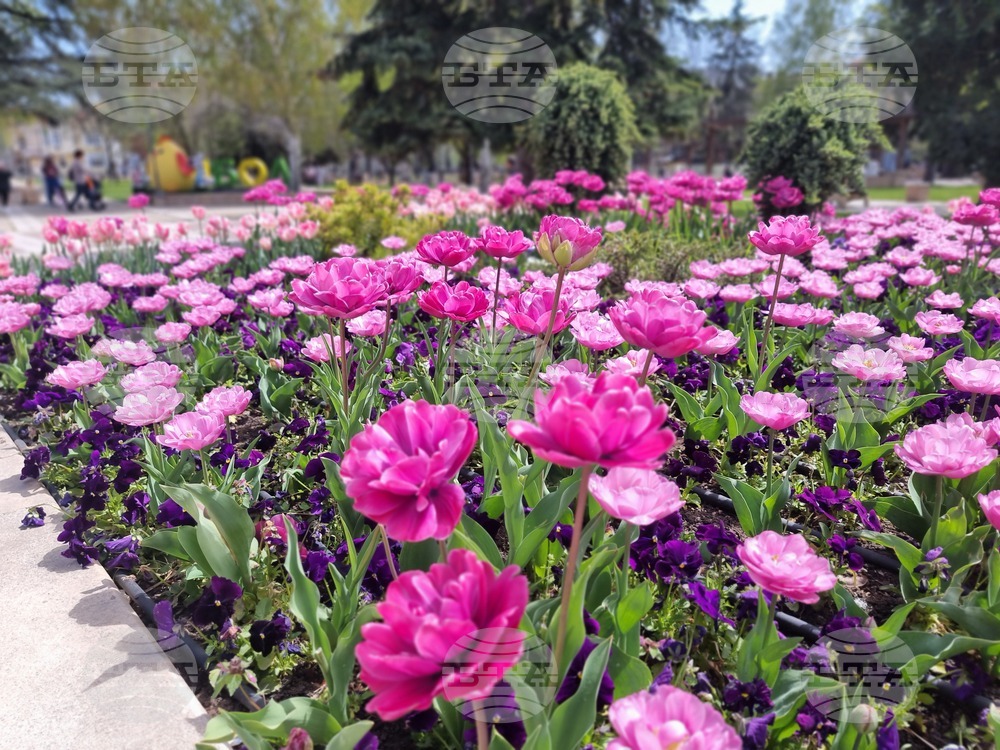 Ямбол - великденска украса