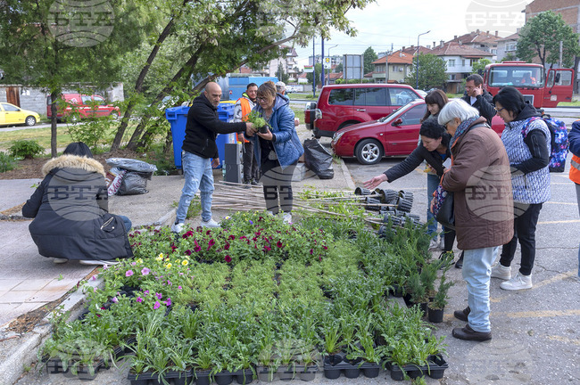 В кампанията "Цветя за смет" в Пазарджик са събрани повече отпадъци от предходните години, съобщиха от местната администрация