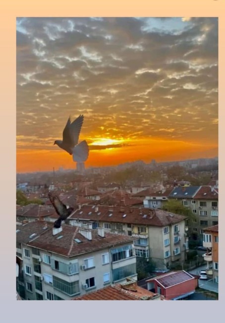 В Търговище обявиха победителите в ученически фотоконкурс на тема „Природни вдъхновения“ 