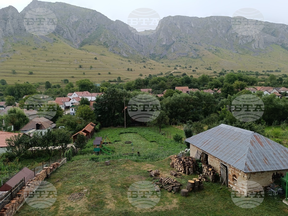 Мечка нападна овчар в Фъгърашките планини в Румъния