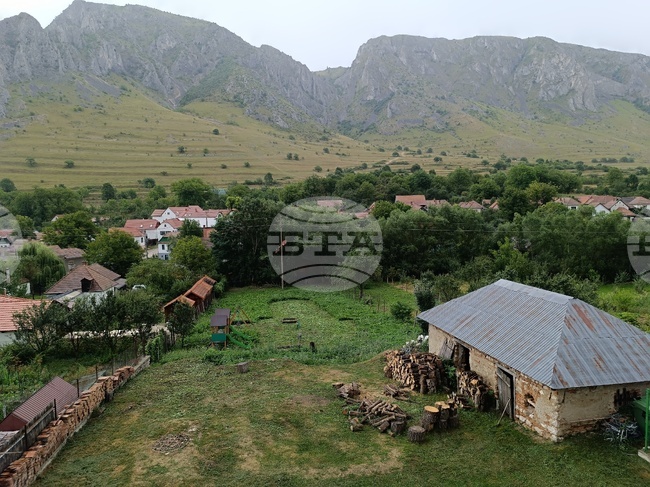 Мечка нападна овчар в Фъгърашките планини в Румъния