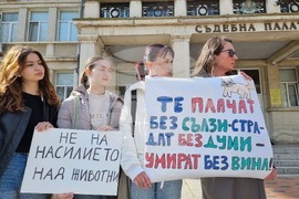 Варна - протест срещу насилието над животни