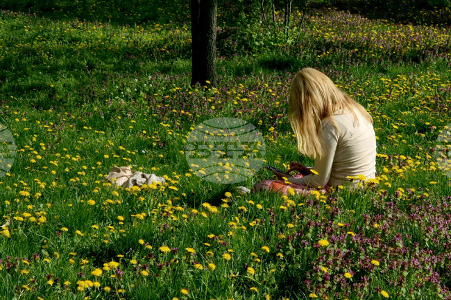 Българската банка за развитие предлага финансиране на жени предприемачи с преференциални лихви