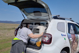 Сливен - Царски орел - освобождаване