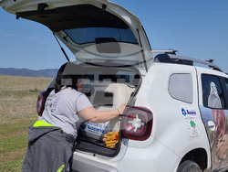 Сливен - Царски орел - освобождаване