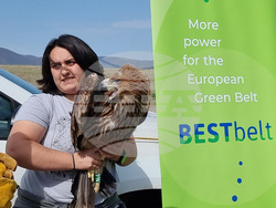 Сливен - Царски орел - освобождаване