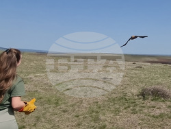 Сливен - Царски орел - освобождаване