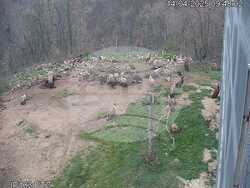 Снимка: Фондация „По-диви Родопи"