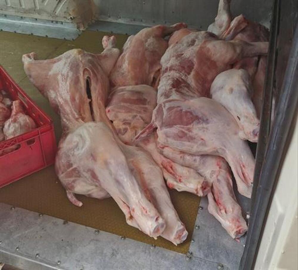Незаконна кланица е установена при акция на икономическата полиция в Ихтиман