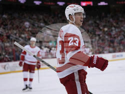 Red Wings Devils Hockey