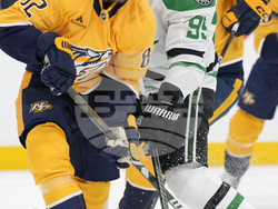 Stars Predators Hockey