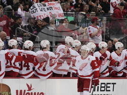 Red Wings Devils Hockey